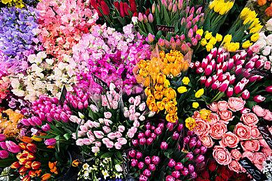 《永劫无间》职业联赛NBPL常规赛第二双周6月17日赛事